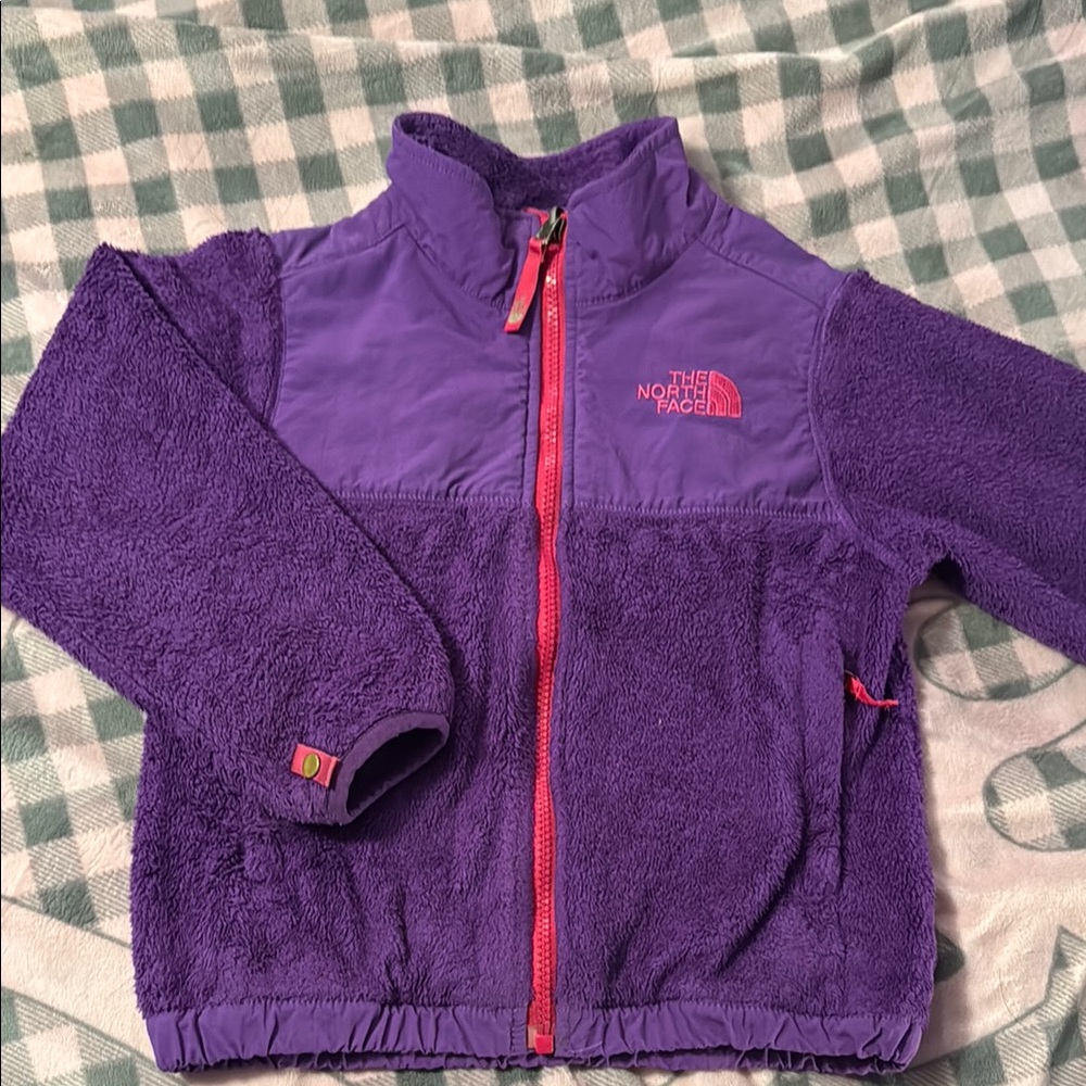 The North Face Purple Fleece Jacket